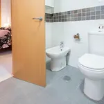 La Mas Coqueta, En El Adn De Cadiz,