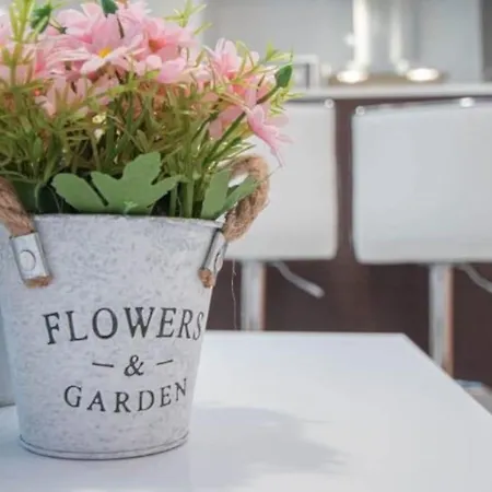 La Mas Coqueta, En El Adn De Cadiz, 카디스