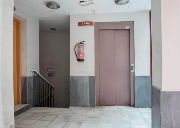 La Mas Coqueta, En El Adn De Cadiz, Cadiz