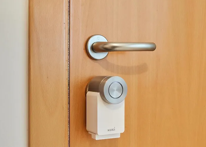 La Mas Coqueta, En El Adn De Cadiz, Cadiz