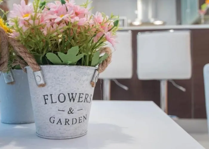 La Mas Coqueta, En El Adn De Cadiz, Καντίζ